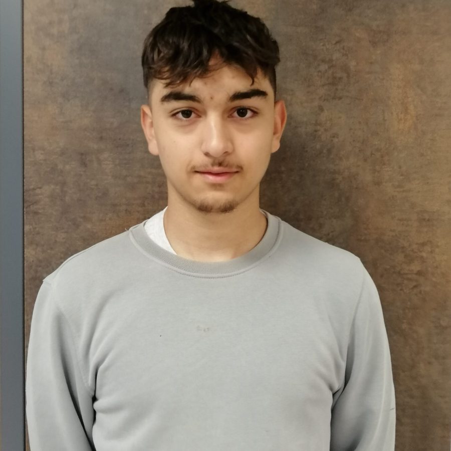 Sesli Enes
